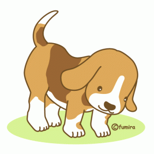 beagle_soft
